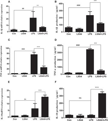 Lipoxin A4 Regulates Lipopolysaccharide-Induced BV2 Microglial Activation and Differentiation via the Notch Signaling Pathway